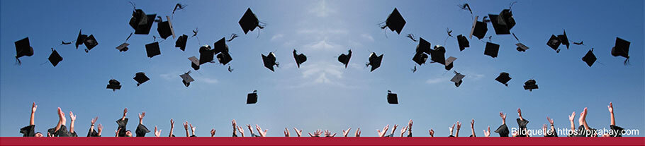 Header TOSCAneo-Studie